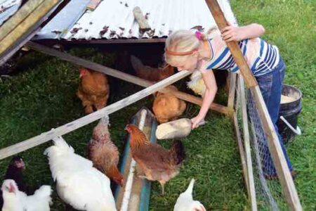 Transform Children’s Chores into Small Businesses Image